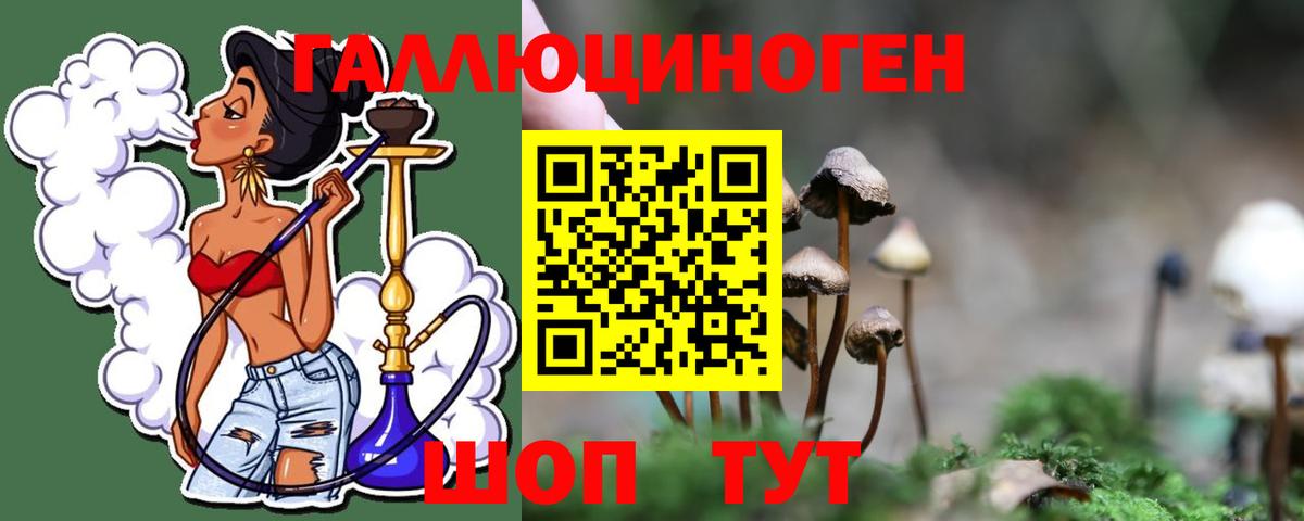 Грозный  Псилоцибиновые грибы MAGIC MUSHROOMS  Вход с VPN 